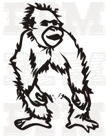 /album/ostatne-zvierata/ostatne-zvierata-11-jpg/